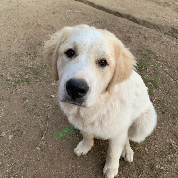 Meet your Posher, Christine - Picture 1 of 1